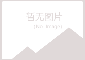 类乌齐县山柳水泥有限公司